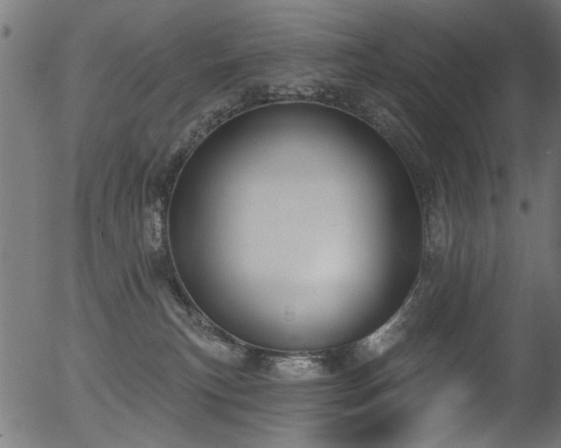 X0000056350183200508291331