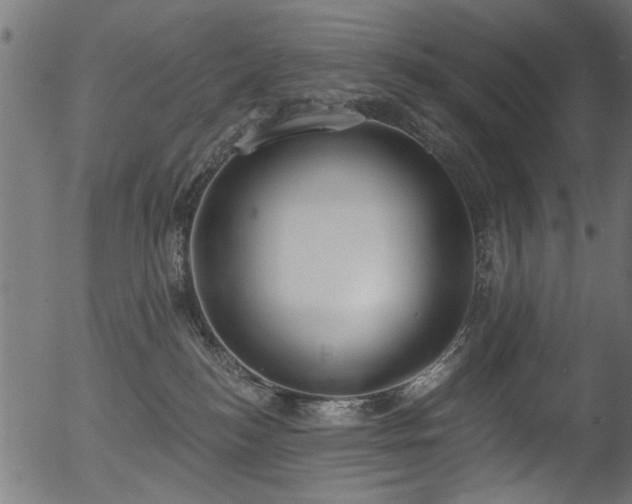 X0000056350184200508291331