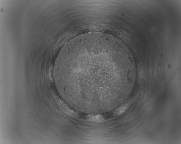 X0000056350185200508291331