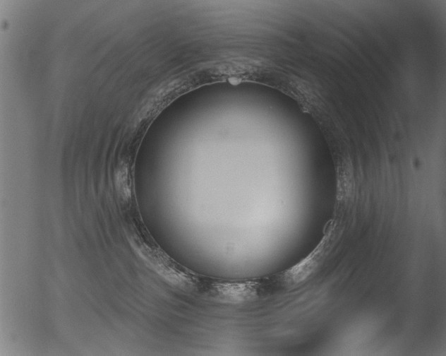 X0000056350187200508291332