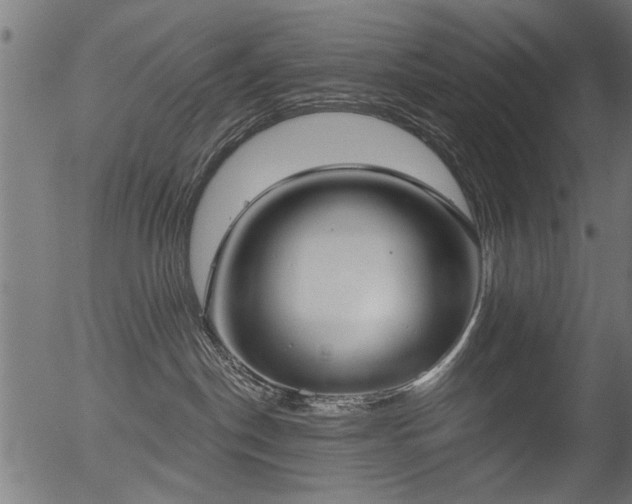 X0000056350190200508291332