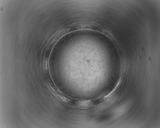 X0000056350191200508291332