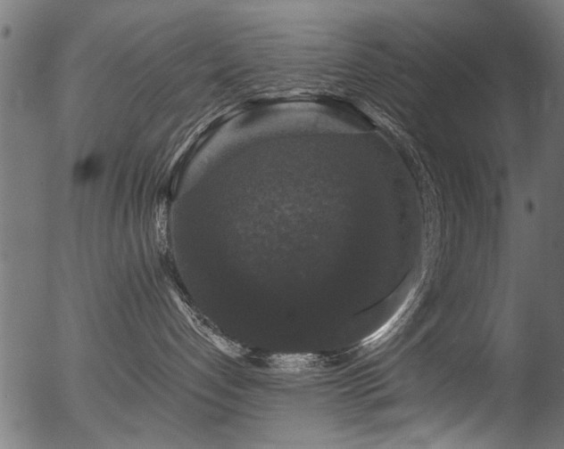 X0000056350192200508291332