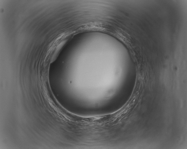 X0000056350193200508291331