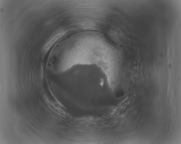 X0000056350194200508291331