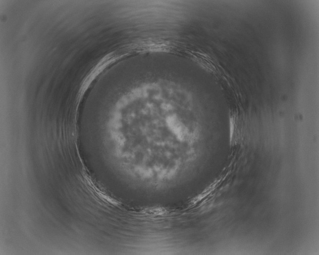 X0000056350195200508291331