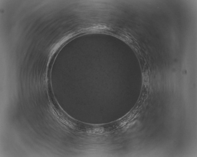 X0000056350196200508291331