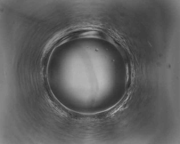 X0000056350197200508291331