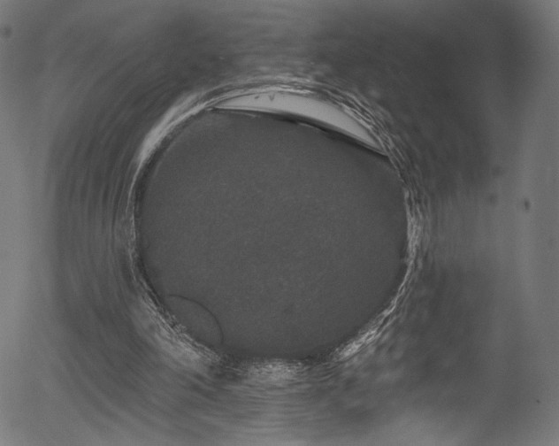 X0000056350198200508291331