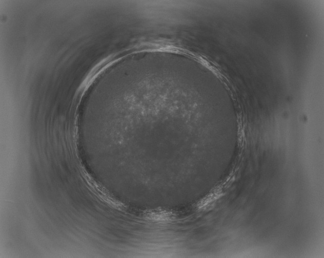 X0000056350199200508291331