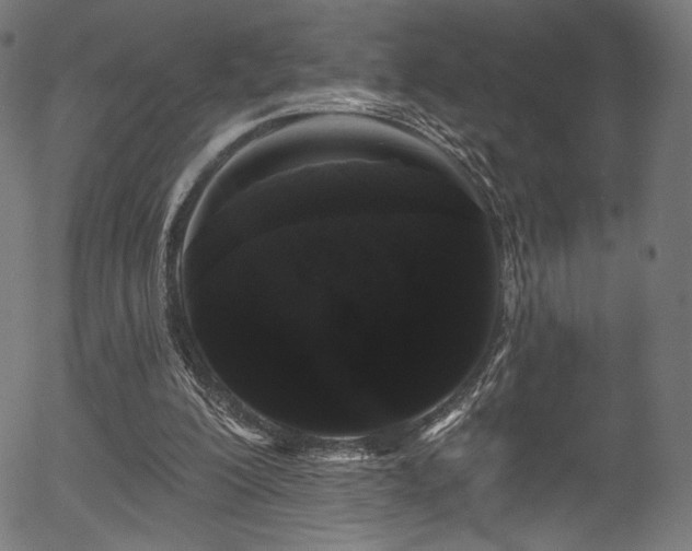 X0000056350200200508291331