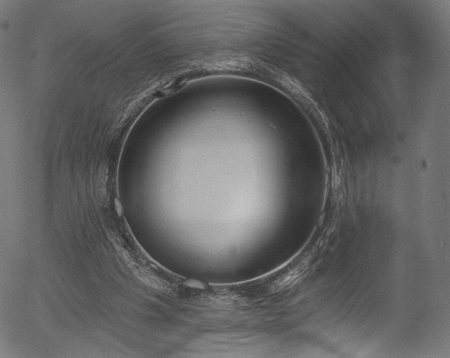 X0000056350201200508291331