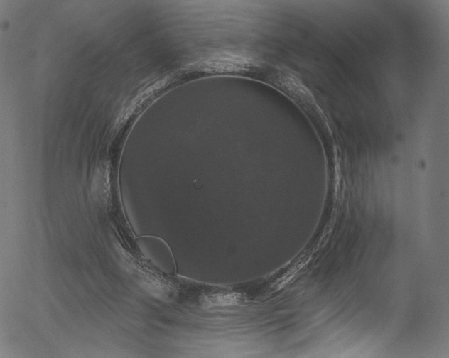 X0000056350202200508291331