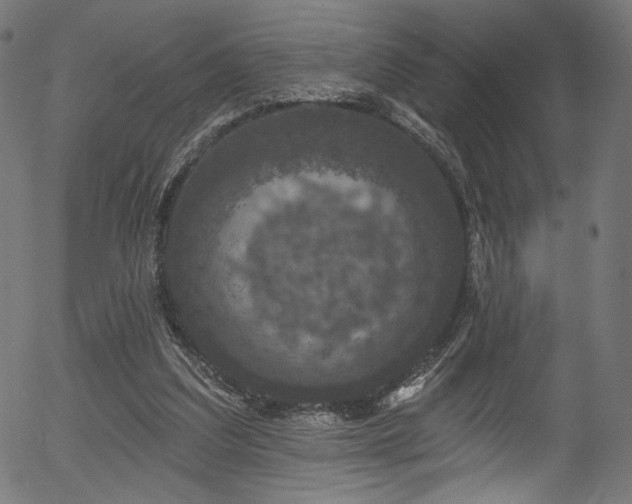 X0000056350203200508291331