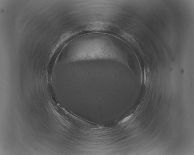 X0000056350204200508291331