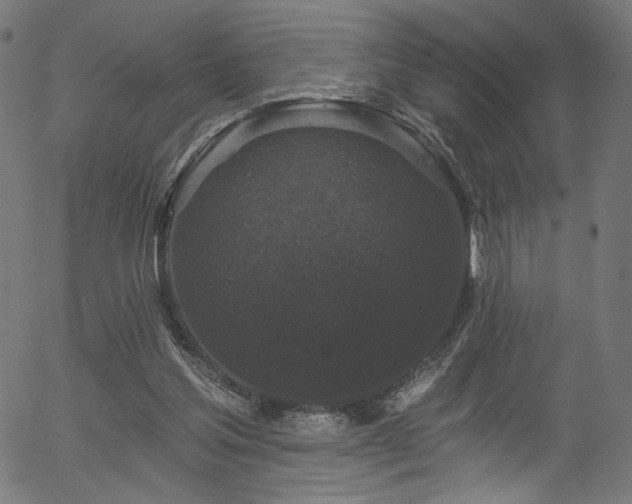 X0000056350205200508291331