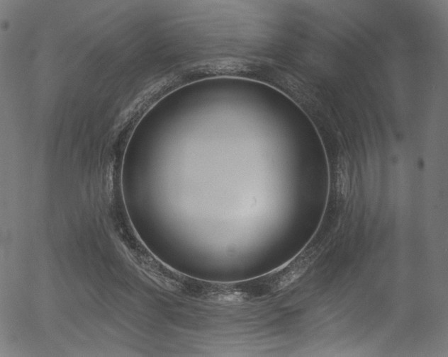 X0000056350206200508291331