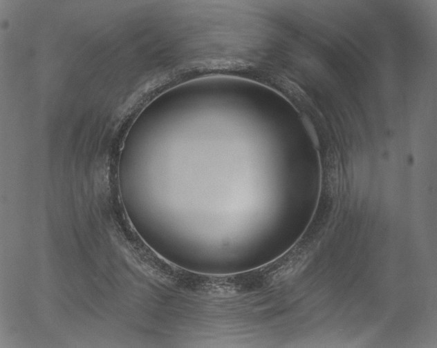 X0000056350207200508291331