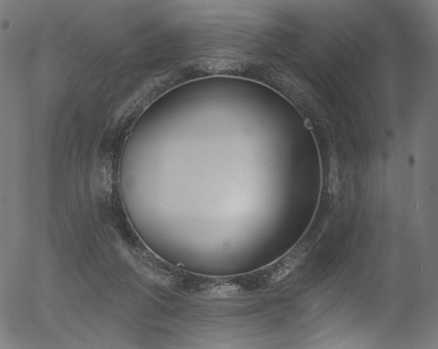 X0000056350210200508291331