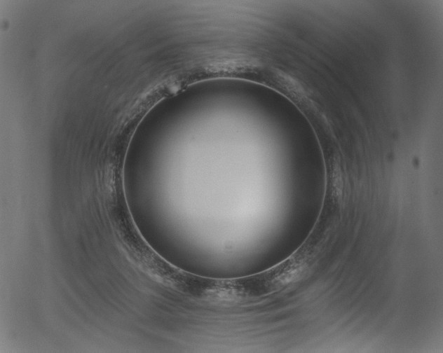 X0000056350211200508291331