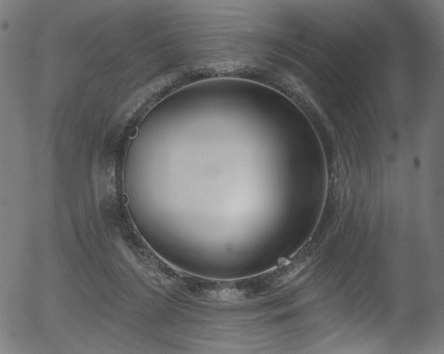 X0000056350212200508291330