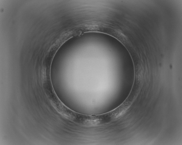 X0000056350213200508291330