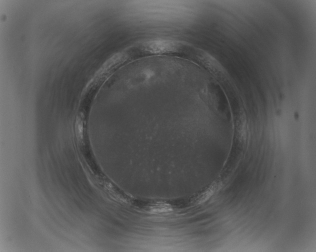 X0000056350214200508291330