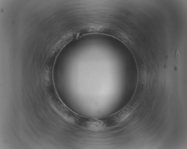 X0000056350215200508291330