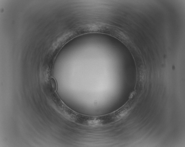 X0000056350216200508291330