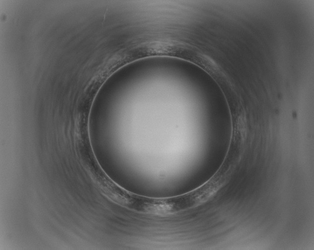 X0000056350217200508291330