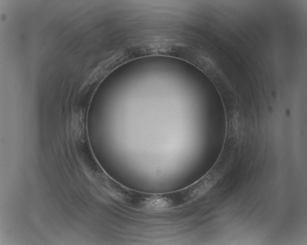 X0000056350218200508291330