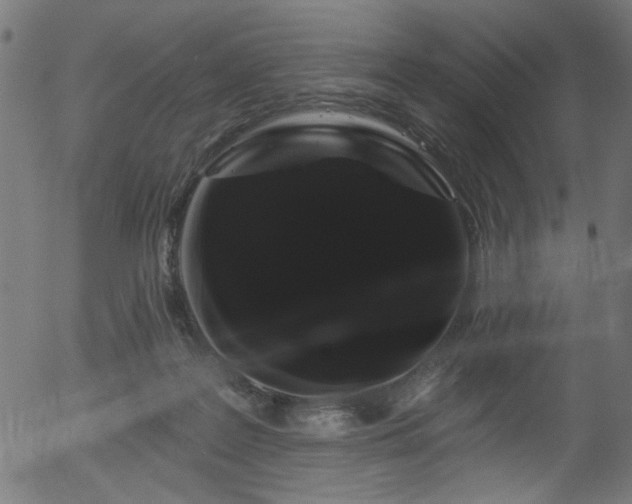 X0000056350219200508291330