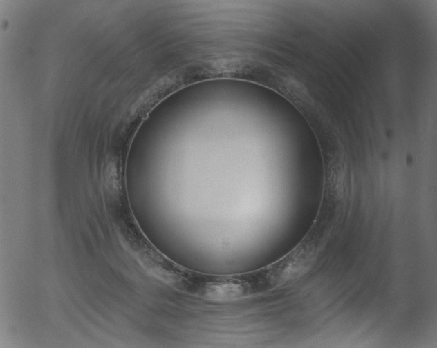 X0000056350220200508291330