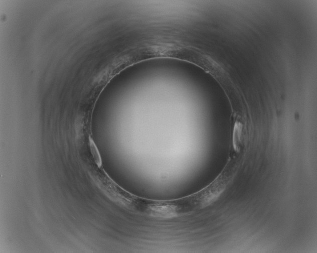 X0000056350221200508291330