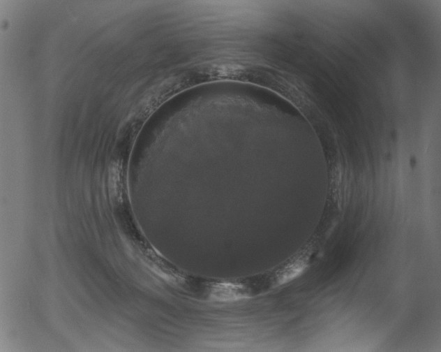 X0000056350222200508291330