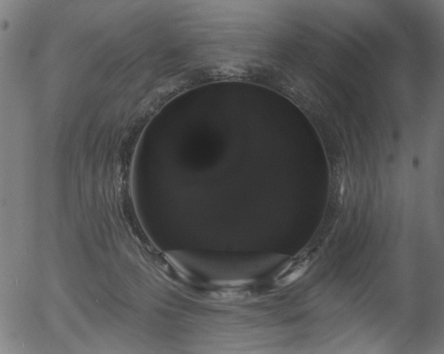 X0000056350223200508291330