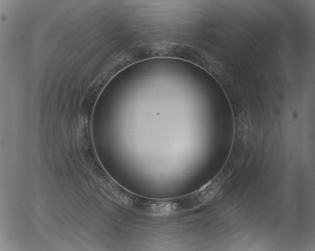 X0000056350225200508291330