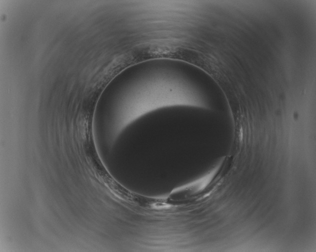 X0000056350227200508291330