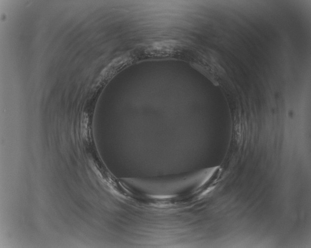 X0000056350231200508291330