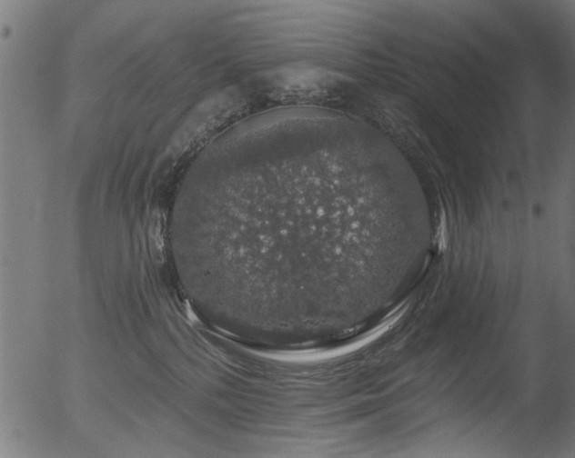 X0000056350232200508291330