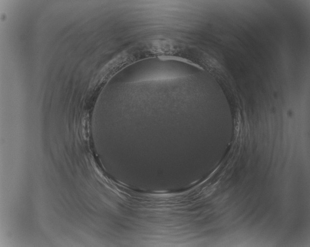 X0000056350233200508291330