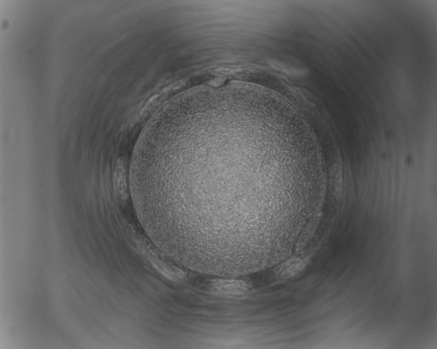 X0000056350234200508291330