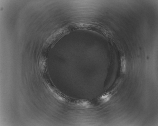 X0000056350235200508291330