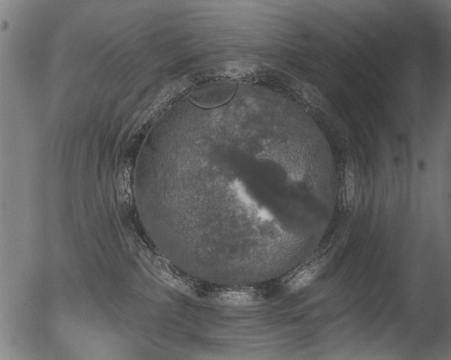 X0000056350236200508291330