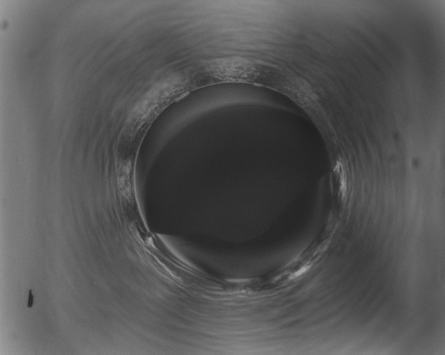 X0000056350239200508291330