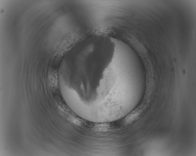 X0000056350240200508291330