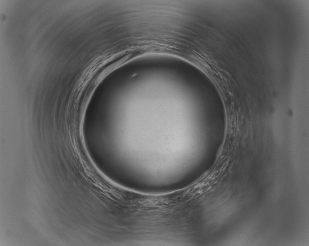 X0000056350241200508291329