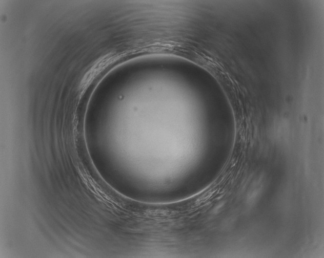 X0000056350242200508291329