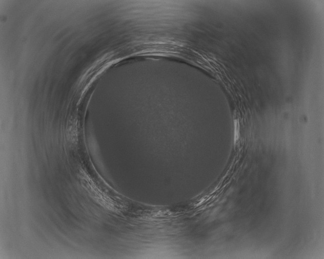 X0000056350243200508291329