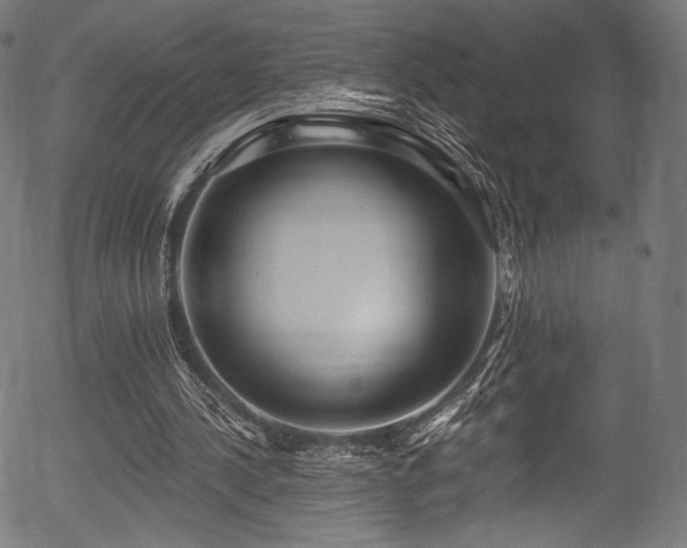 X0000056350244200508291329